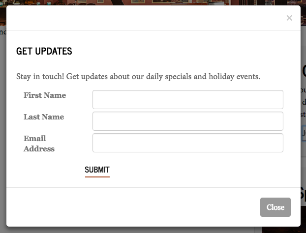 Screenshot of Newsletter Sign Up Form