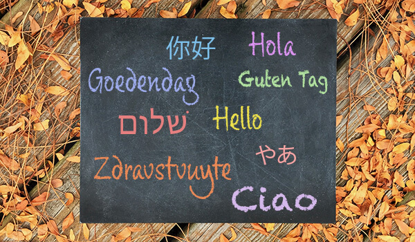 Multi languages displayed on chalkboard with fall leaves in background