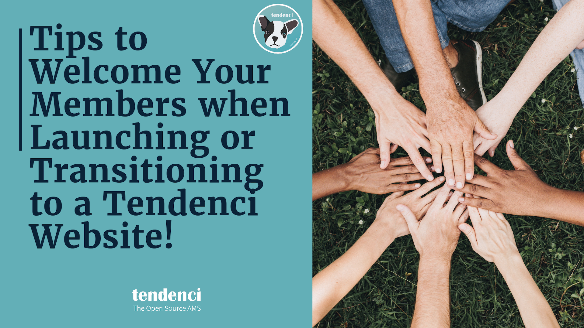 Tips to Welcome Your Members Tendenci Graphic