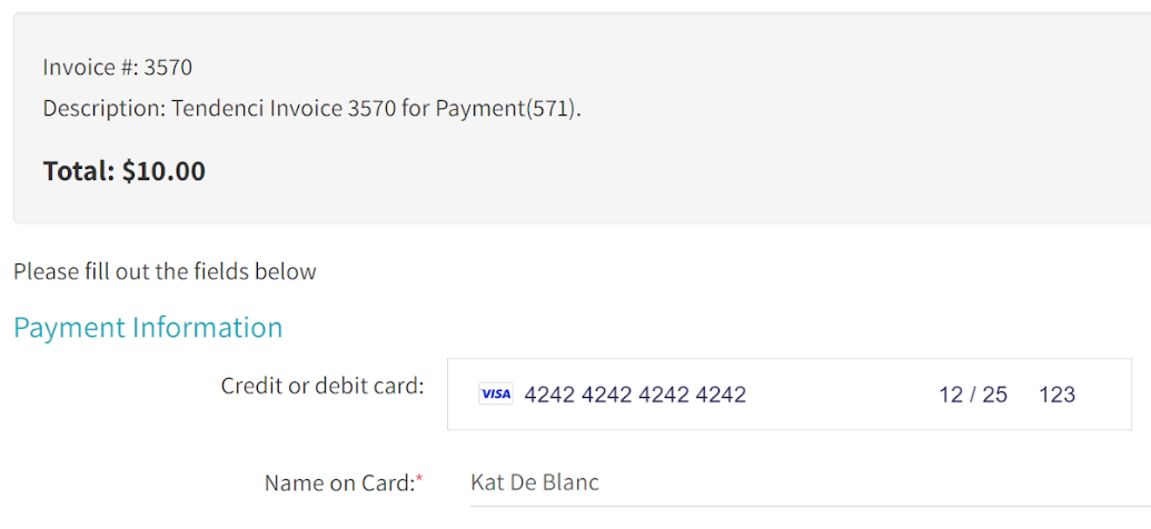 Stripe Visa Test Card Example Payment Information