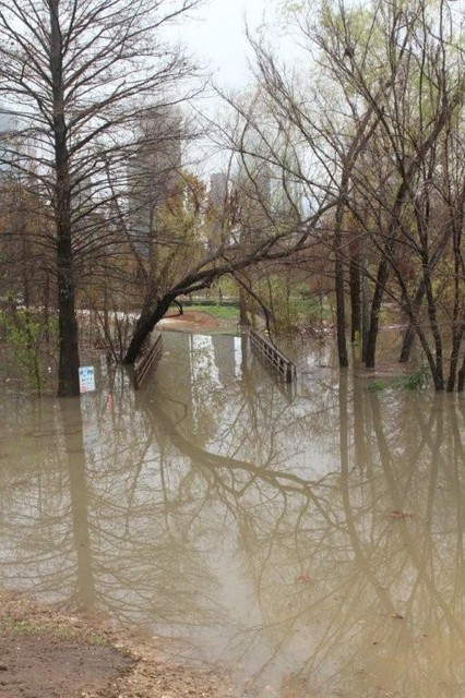 The Rain 1-25-2012 Flooding on the Bayou