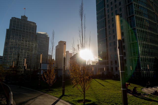 Salesforce Park in San Francisco