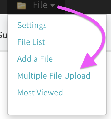 Screenshot Multiple File Upload Admin Menu 