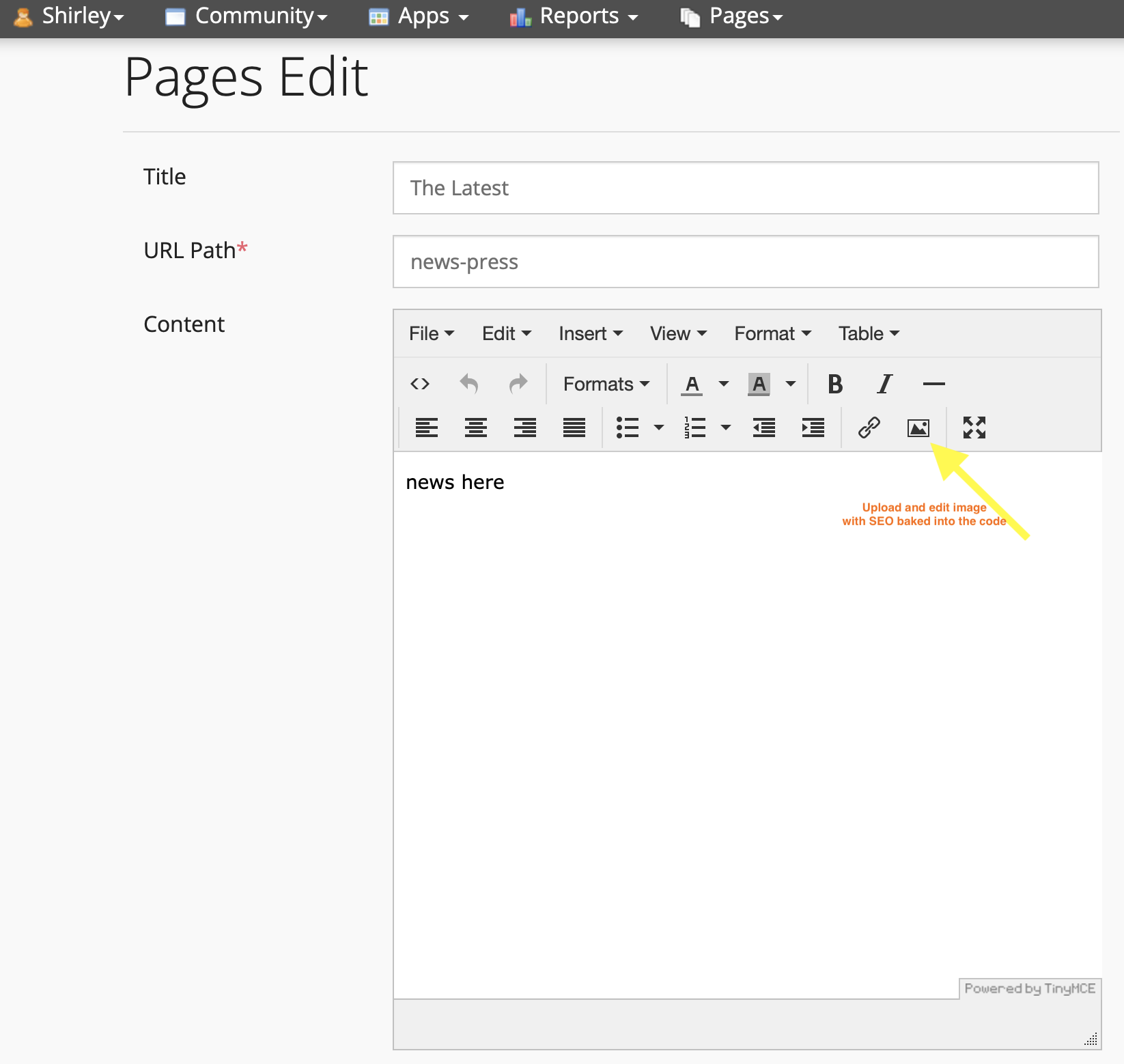 Screenshot of Pages Edit Tendenci Help File 