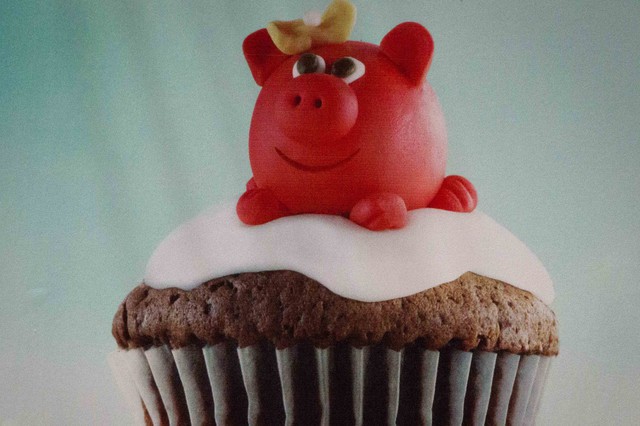 Pig on a Cupcake