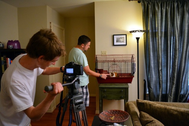 Behind the Scenes of Tendenci's Guinea Pig Ad - Opening Scene