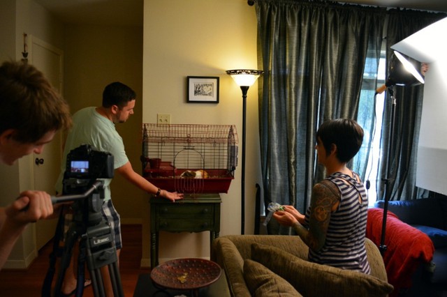 Behind the Scenes of Tendenci's Guinea Pig Ad - Action!