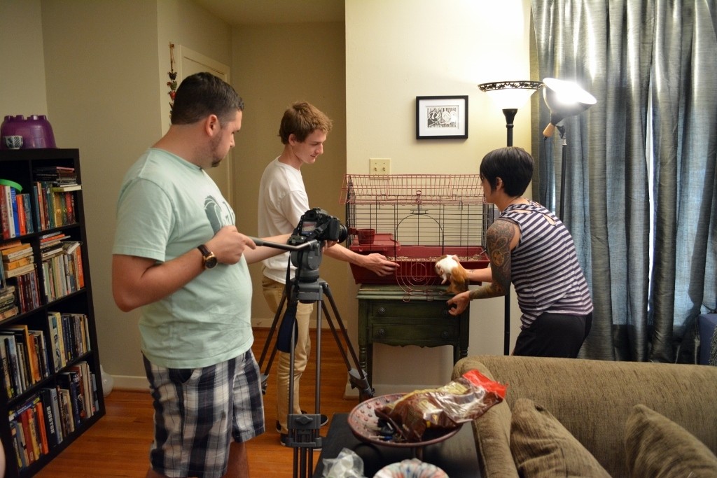 Behind the Scenes of Tendenci's Guinea Pig Ad - Getting Carl to "hop" in the cage