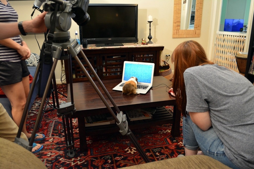 Behind the Scenes of Tendenci's Guinea Pig Ad