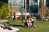 Salesforce Park in San Francisco